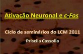 Ativação Neuronal e  c-Fos