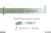 Introdução a AOP + SpringAOP
