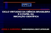 CICLO VIRTUOSO DA CIÊNCIA BRASILEIRA E O PAPEL DA  INICIAÇÃO CIENTÍFICA