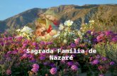 Sagrada Família  d e Nazaré