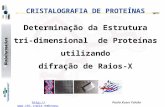 CRISTALOGRAFIA DE PROTEÍNAS Determinação da Estrutura tri-dimensional  de Proteínas utilizando