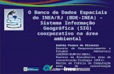 Andréa Franco de Oliveira Gerente de Geoprocessamento e Estudos Ambientais (GEOPEA/DUMFIS/INEA).