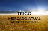 TRIGO MERCADO ATUAL INTERNO E EXPORTAÇÃO