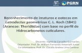 Discente: Ingrid de Carvalho Guimarães Orientador: Prof. Dr. William Fernando  Antonialli  Junior