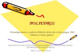 INSTITUTO DE APLICAÇÃO FERNANDO RODRIGUES DA SILVEIRA (UERJ) – GEOMETRIA NO ENSINO MÉDIO