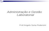 Administra§£o e Gest£o Laboratorial Prof.Angelo Soria Pedersini