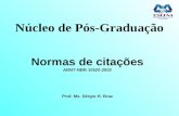 Núcleo de Pós-Graduação Normas de citações ABNT-NBR 10520:2002 Prof. Ms. Sérgio H. Braz