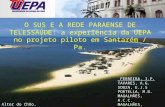 O SUS E A REDE PARAENSE DE TELESSAÚDE: a experiência da UEPA no projeto piloto em Santarém /  Pa .