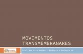 Movimentos  Transmembranares