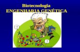 Biotecnologia ENGENHARIA GENÉTICA