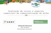 Avaliação de riscos e aspectos comerciais da comercialização de milho GM