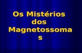 Os Mistérios  dos  Magnetossomas
