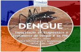 Capacitação em diagnóstico e tratamento do Dengue e da FHD. Pedro J. Vilaça
