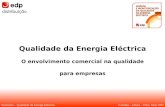Qualidade da Energia Eléctrica O envolvimento comercial na qualidade para empresas