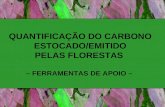 QUANTIFICAÇÃO DO CARBONO  ESTOCADO/EMITIDO  PELAS FLORESTAS  – FERRAMENTAS DE APOIO –