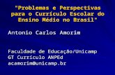"Problemas e Perspectivas para o Currículo Escolar do Ensino Médio no Brasil"