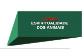 CURSO ESPIRITUALIDADE  DOS ANIMAIS