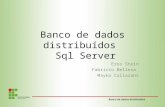 Banco de dados distribuídos   Sql Server
