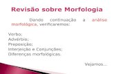 Revisão sobre Morfologia