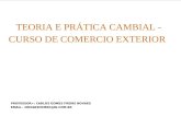 TEORIA E PRÁTICA CAMBIAL - CURSO DE COMERCIO EXTERIOR