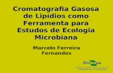Cromatografia Gasosa de Lipídios como Ferramenta para Estudos de Ecologia Microbiana