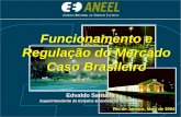 Funcionamento e Regulação do Mercado Caso Brasileiro