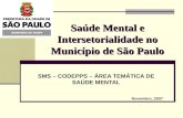 Saúde Mental e Intersetorialidade no Município de São Paulo