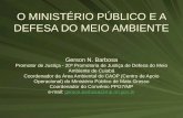 Brasil - Democracia capitalista O Meio Ambiente  na Constituição da República