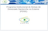 Programa Institucional de Bolsas de Doutorado Sanduíche no Exterior (PDSE)