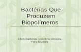 Bact©rias Que Produzem Biopol­meros