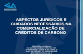 ASPECTOS JURÍDICOS E CUIDADOS NECESSÁRIOS NA COMERCIALIZAÇÃO DE  CRÉDITOS DE CARBONO