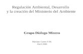 Grupo Diálogo Minero Mariano Castro S.M. Abril 2008