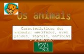 Características dos animais:  mamíferos, aves, peixes, répteis, anfíbios e insectos.