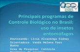 Principais programas de Controle Biológico no Brasil: uso de insetos entomófagos