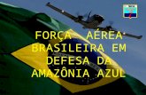 FORÇA  AÉREA BRASILEIRA EM DEFESA DA AMAZÔNIA AZUL