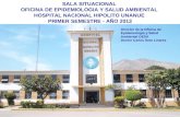 SALA SITUACIONAL  OFICINA DE EPIDEMIOLOGIA Y SALUD AMBIENTAL  HOSPITAL NACIONAL HIPOLITO UNANUE