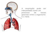 A respiração pode ser interpretada como um processo de trocas gasosas entre o organismo e o meio.