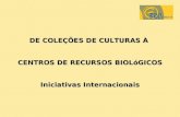 DE COLEÇÕES DE CULTURAS À  CENTROS DE RECURSOS BIOLóGICOS Iniciativas Internacionais