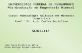 UNIVERSIDADE FEDERAL DE PERNAMBUCO Pós-Graduação em Engenharia Mineral