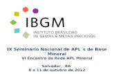 IX Seminário Nacional de APL´s de Base Mineral VI Encontro da Rede APL Mineral