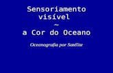 Sensoriamento visível  ~ a Cor do Oceano
