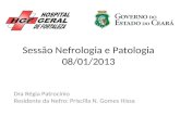 Sessão Nefrologia e Patologia 08/01/2013