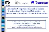 Profª Dra. Rosana Giaretta Sguerra Miskulin  LAPEMMEC/CEMPEM/FE – UNICAMP E-mail: misk@unicamp.br