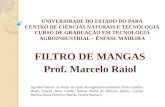 FILTRO DE MANGAS Prof. Marcelo  Raiol