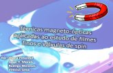Técnicas  magneto-ópticas  aplicadas ao estudo de filmes finos e válvulas de  spin
