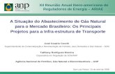 XII Reunião Anual Ibero-americana de Reguladores de Energia – ARIAE