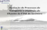 Avaliação de Processos de Transporte e Dispersão do Efluente da ETAR de Sesimbra