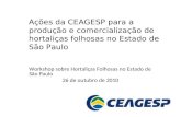 Ações da CEAGESP para  a produção e comercialização de hortaliças folhosas no Estado de São  Paulo