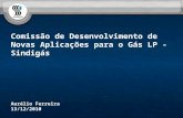 Comissão de Desenvolvimento de Novas Aplicações para o Gás LP - Sindigás Aurélio Ferreira