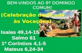 BEM-VINDOS AO 8º DOMINGO COMUM! (Celebração dedicada        às Vocações)